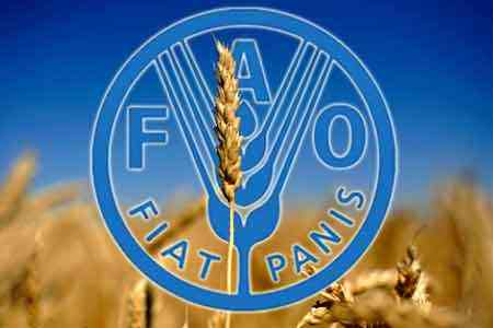 Армения утвердила программу содействия в области растениеводства