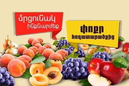 8,5 тонн сельхозпродукции: подводятся итоги грантовой программы в общине Татев