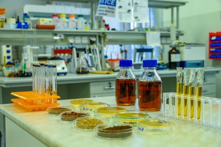 YSU biologists have obtained organic fertilizer from coffee waste   