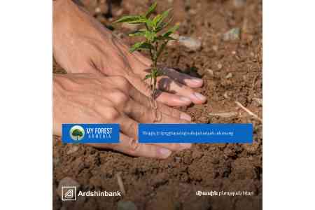 Посажен именной лес Ардшинбанка