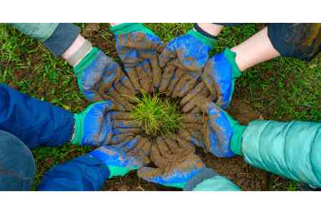 Ծառատունկ՝ հանուն կանաչ Հայաստանի