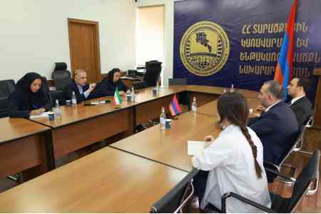 Посол ИРИ и замглавы Минтеруправления обсудили ход строительства третьей ЛЭП Иран - Армения