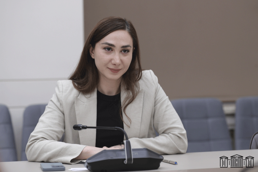 В Армении будет внедрена цифровая платформа по госзакупкам