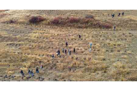 Ծառատունկ՝ հանուն Հայաստանի