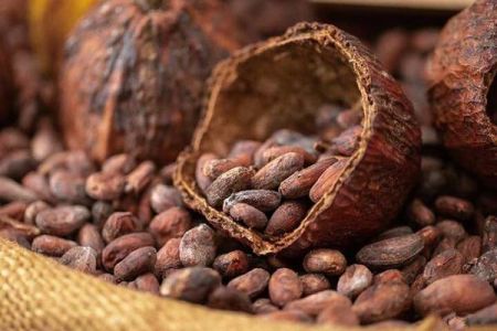 Армения получит возможность беспошлинного ввоза на свою территорию какао