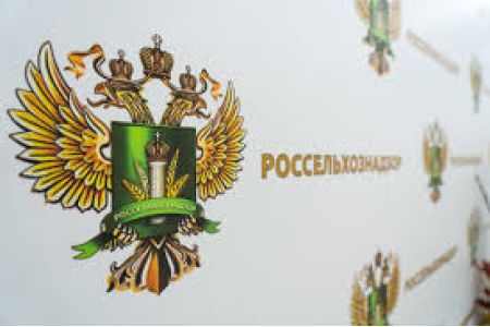 Россельхознадзор ограничивает ввоз цветов из Армении с 22 мая