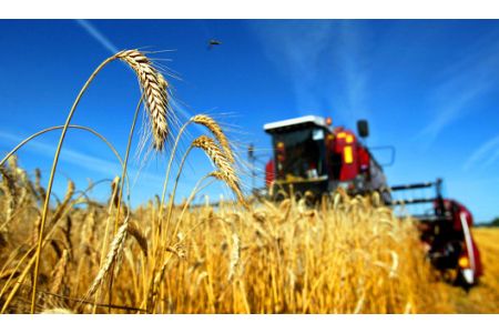 A seminar for agricultural producers was held at the Russian Trade Mission in Armenia